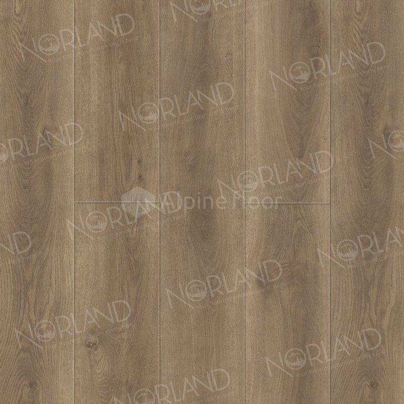 SPC Ламинат "Norland" Tista (1220*196*8 мм) — купить в Новороссийске