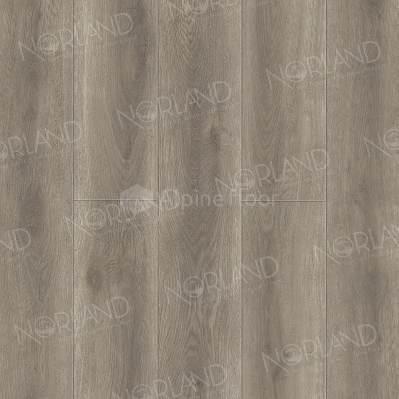 SPC Ламинат "Norland" Templet (1220*196*8 мм) — купить в Новороссийске